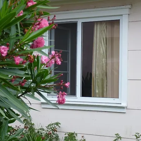 Azores Garden House - Private & - Automatic Self Check-in Ponta Delgada (Sao Miguel)