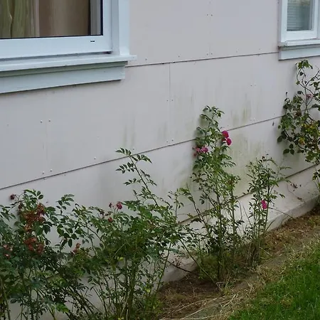 Azores Garden House - And Private - Self Access Keyboard Ponta Delgada