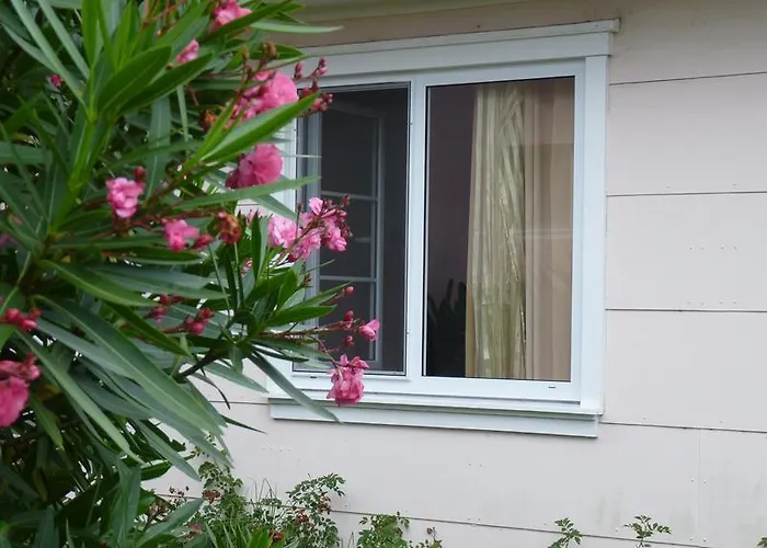 Azores Garden House - And Private - Self Access Keyboard Ponta Delgada