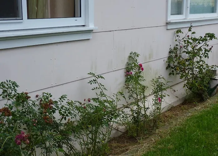 Azores Garden House - And Private - Self Access Keyboard Ponta Delgada